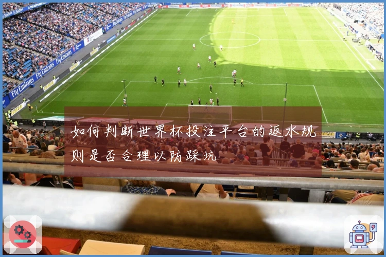 如何判断世界杯投注平台的返水规则是否合理以防踩坑