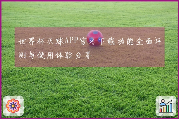 世界杯买球APP官方下载功能全面评测与使用体验分享