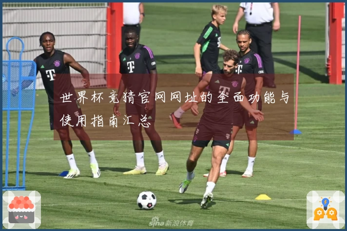 世界杯竞猜官网网址的全面功能与使用指南汇总