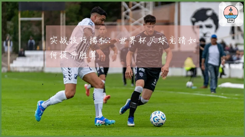 实战技巧揭秘：世界杯买球竞猜如何提升胜算