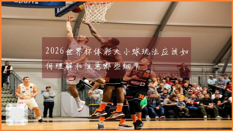 2026世界杯体彩大小球玩法应该如何理解和注意哪些细节