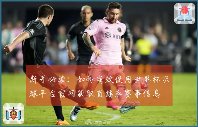 新手必读:如何高效使用世界杯买球平台官网获取直播和赛事信息