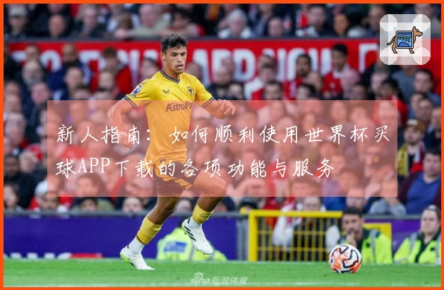 新人指南：如何顺利使用世界杯买球APP下载的各项功能与服务
