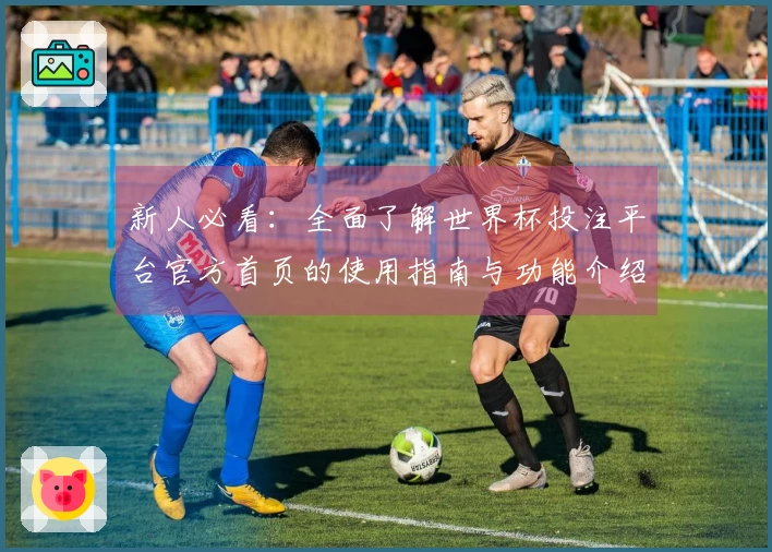 新人必看：全面了解世界杯投注平台官方首页的使用指南与功能介绍