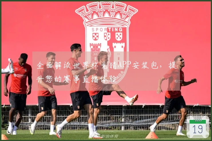 全面解读世界杯竞猜APP安装包，提升您的赛事直播体验