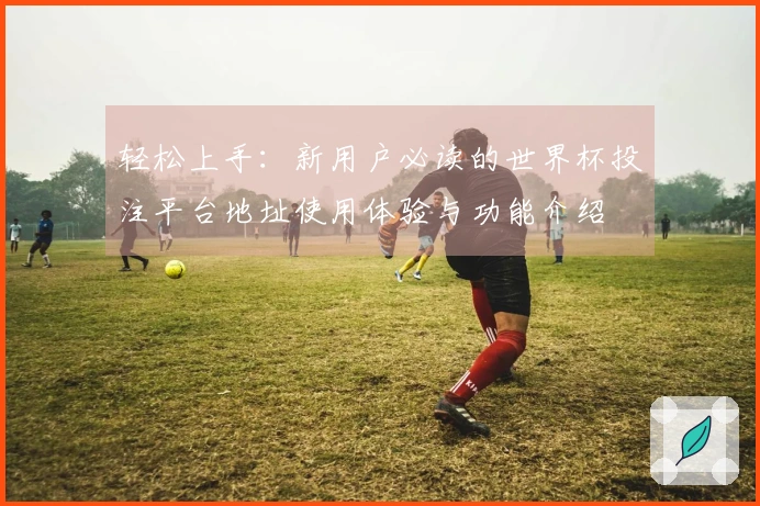 轻松上手：新用户必读的世界杯投注平台地址使用体验与功能介绍