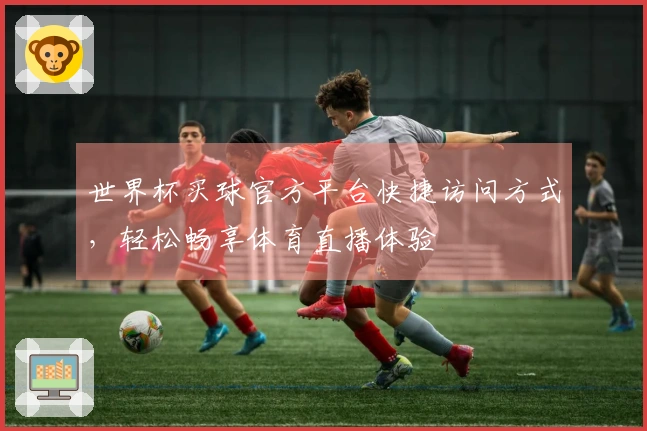 世界杯买球官方平台快捷访问方式，轻松畅享体育直播体验