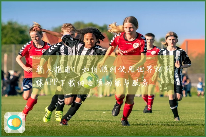 新人指南：如何顺利使用世界杯买球APP下载的各项功能与服务