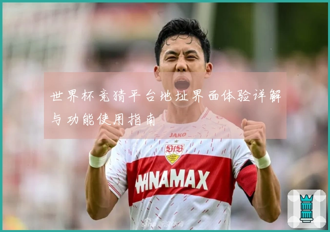 世界杯竞猜平台地址界面体验详解与功能使用指南