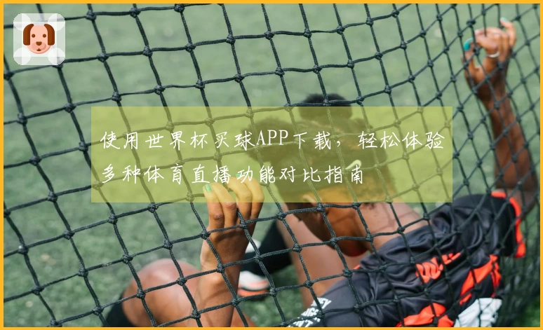 使用世界杯买球APP下载，轻松体验多种体育直播功能对比指南