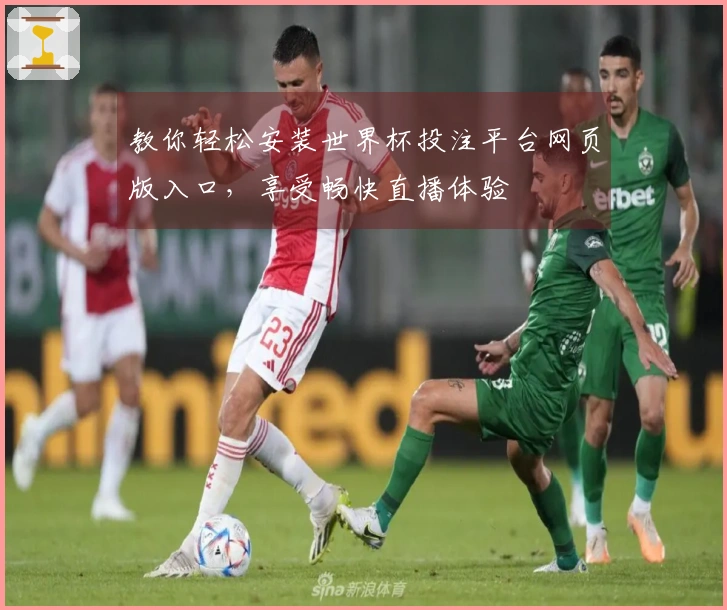 教你轻松安装世界杯投注平台网页版入口,享受畅快直播体验