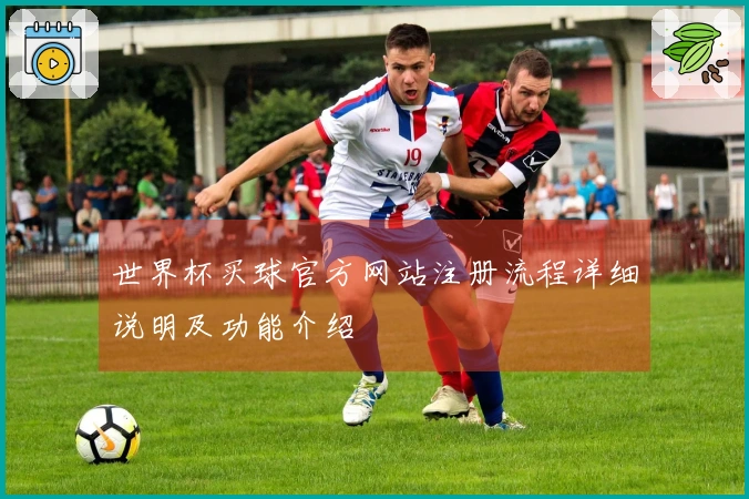 世界杯买球官方网站注册流程详细说明及功能介绍