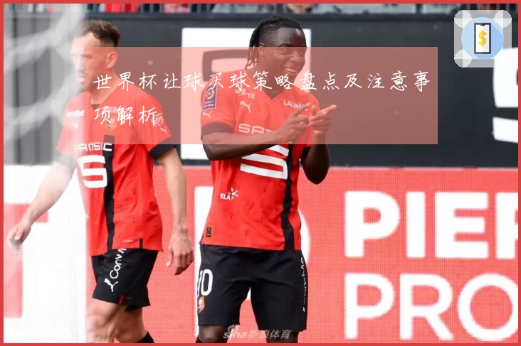 世界杯让球买球策略盘点及注意事项解析