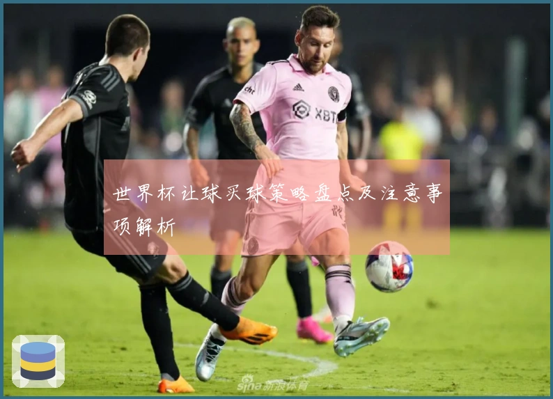 世界杯让球买球策略盘点及注意事项解析