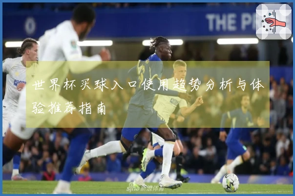 世界杯买球入口使用趋势分析与体验推荐指南