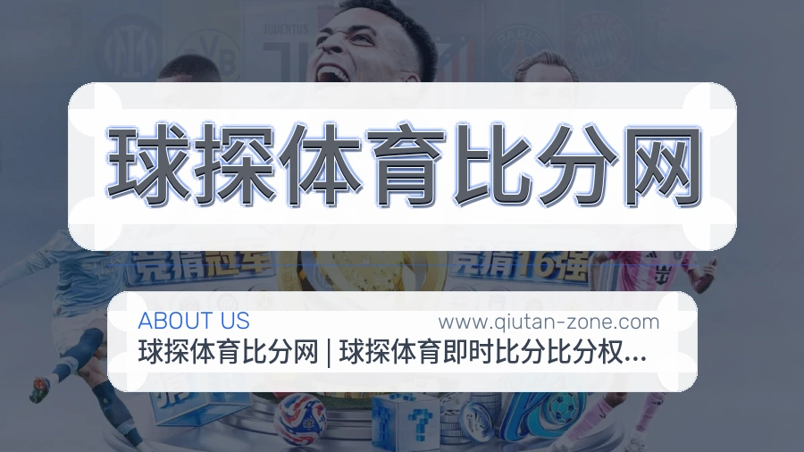 态度说明